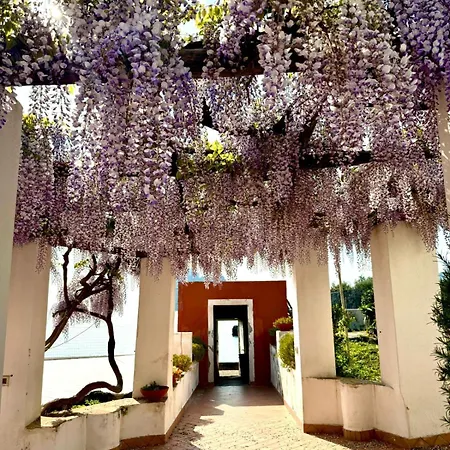 Vakantiehuis La Viscontina *